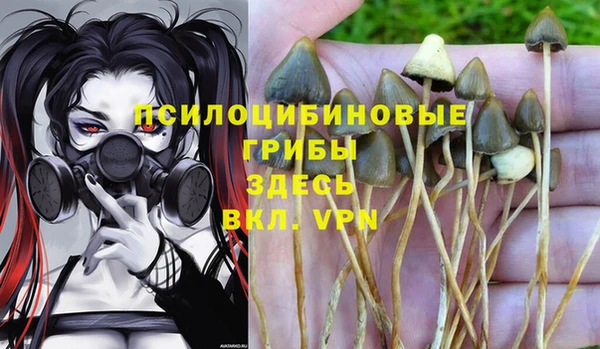 мяу мяу кристалл Арсеньев
